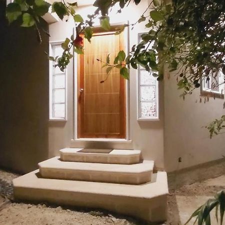 New! Casa Xola Cenote And Fauna Loft Cozumel Zewnętrze zdjęcie