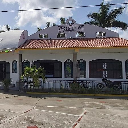 New! Casa Xola Cenote And Fauna Loft Cozumel Zewnętrze zdjęcie