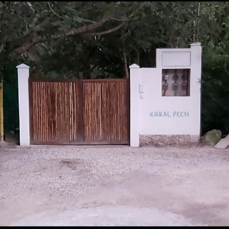New! Casa Xola Cenote And Fauna Loft Cozumel Zewnętrze zdjęcie