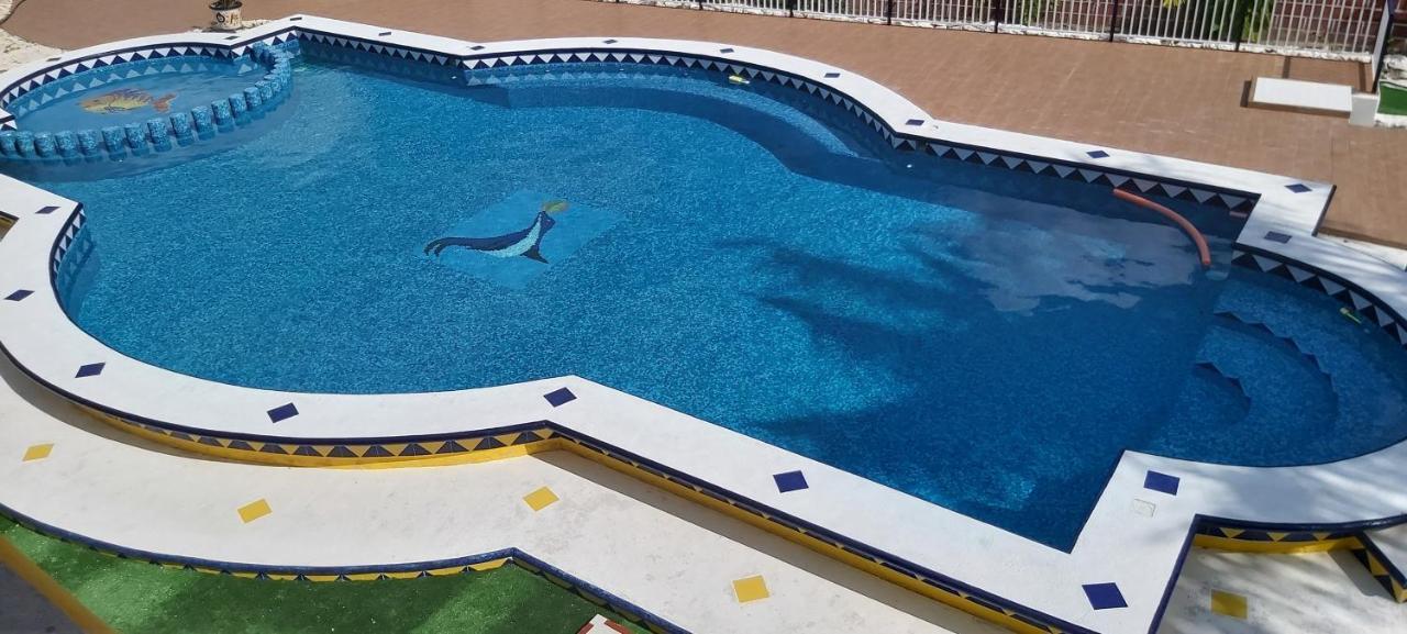 New! Casa Xola Cenote And Fauna Loft Cozumel Zewnętrze zdjęcie