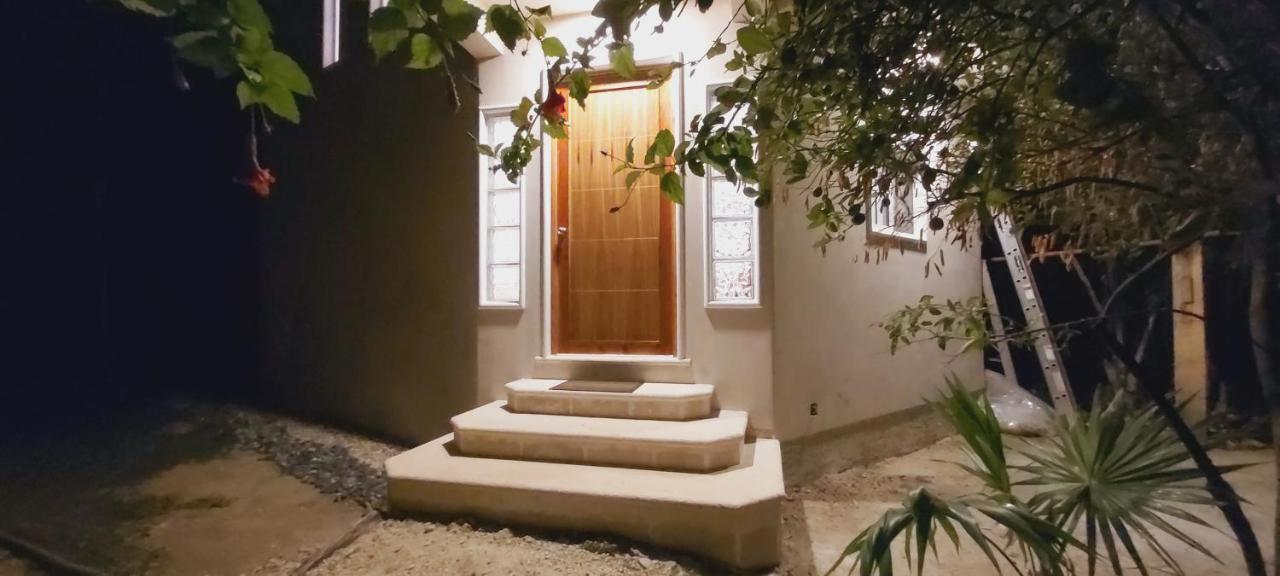 New! Casa Xola Cenote And Fauna Loft Cozumel Zewnętrze zdjęcie