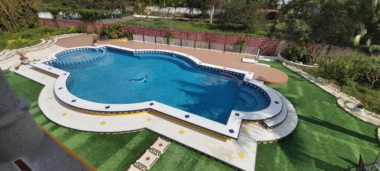 New! Casa Xola Cenote And Fauna Loft Cozumel Zewnętrze zdjęcie