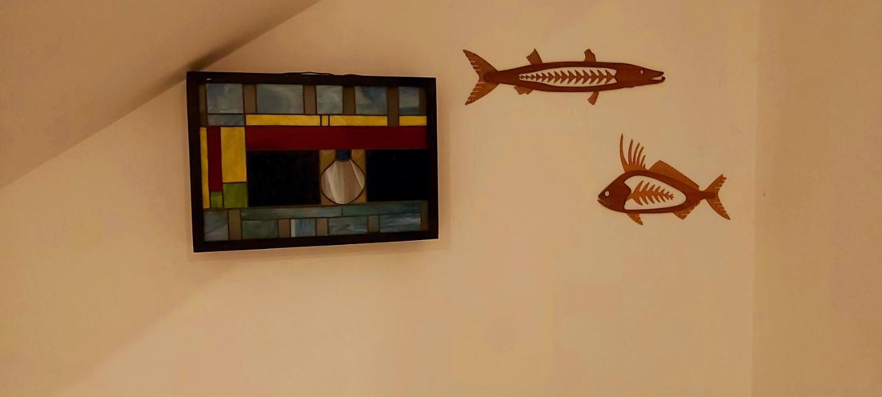New! Casa Xola Cenote And Fauna Loft Cozumel Zewnętrze zdjęcie