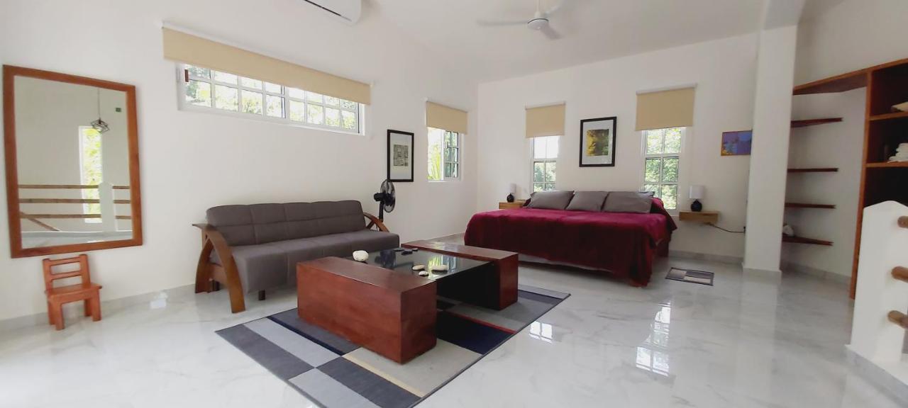 New! Casa Xola Cenote And Fauna Loft Cozumel Zewnętrze zdjęcie